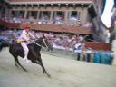 Il Palio - Cavaliere
